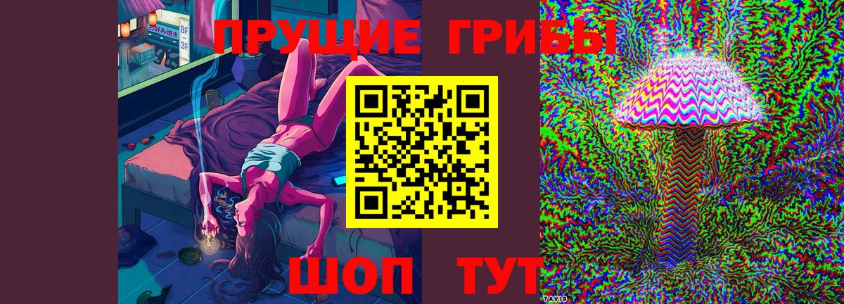 Псилоцибиновые грибы MAGIC MUSHROOMS Новоалтайск
