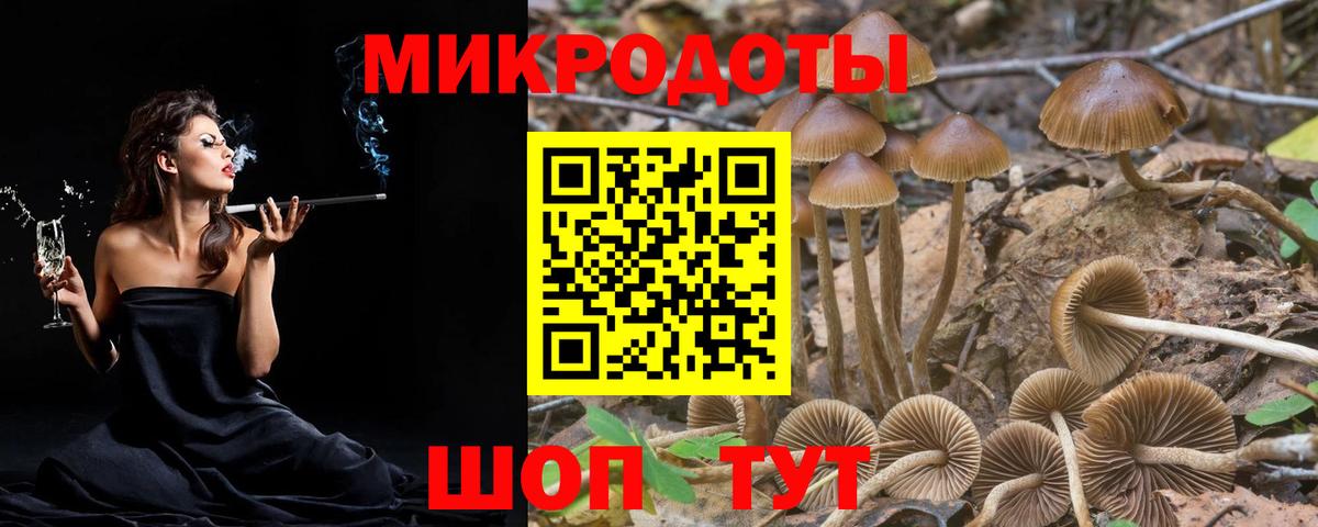 Псилоцибиновые грибы прущие грибы  Псилоцибиновые грибы мухоморы  Новоалтайск  Вход с VPN 